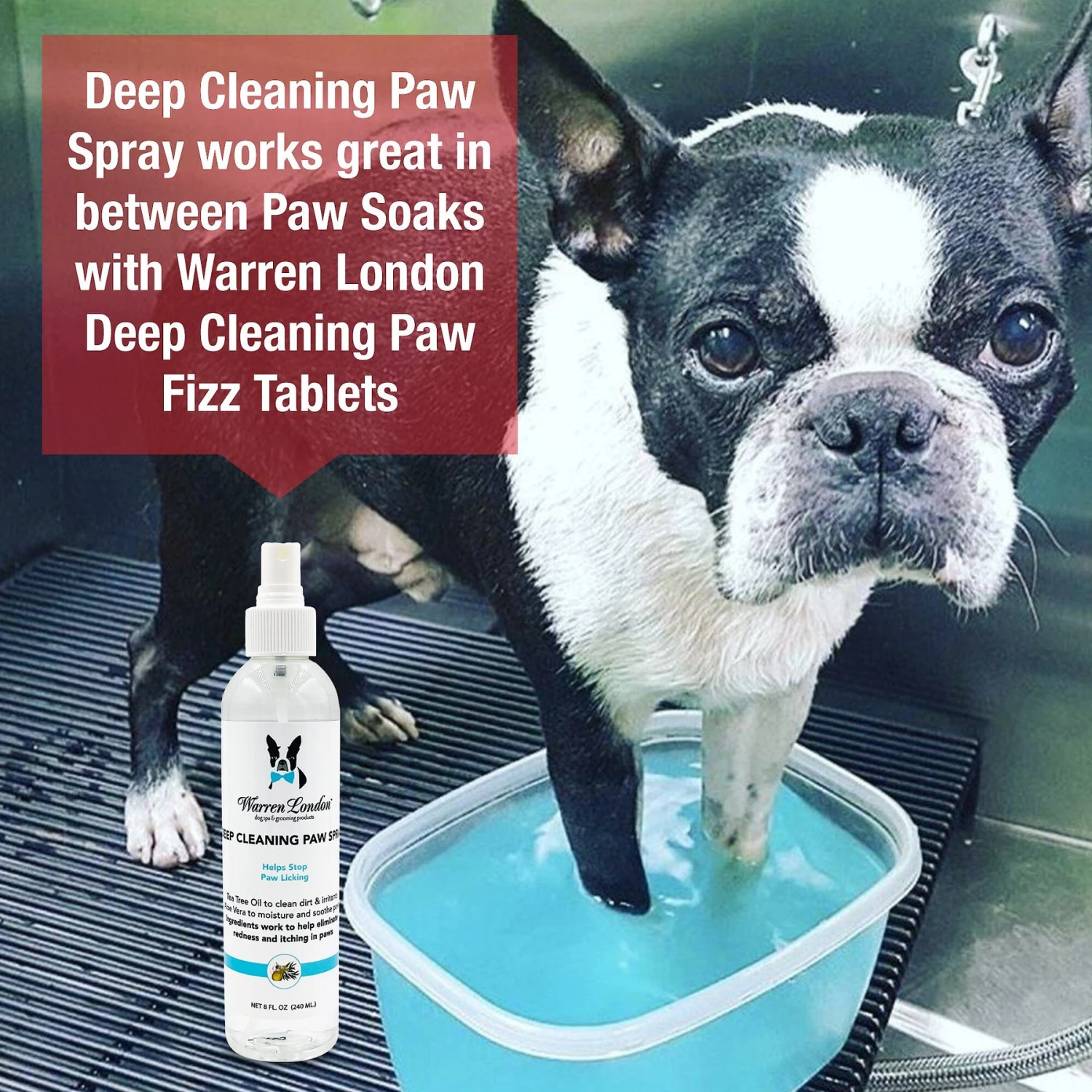 Warren London Deep Cleaning Paw Dog Spray, 8-oz Bottle 5 Warren London Deep Cleaning Paw Dog Spray, 8-oz Bottle - Image 5