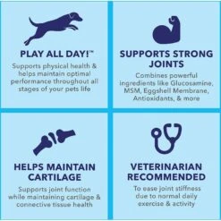 Vetnique Labs Activebliss Hip & Joint Chicken Flavored Soft Chews Joint Supplement For Dogs 10 Vetnique Labs Activebliss Hip & Joint Chicken Flavored Soft Chews Joint Supplement For Dogs -Pet Wellness 316735 PT3. AC SS1800 V1634848106