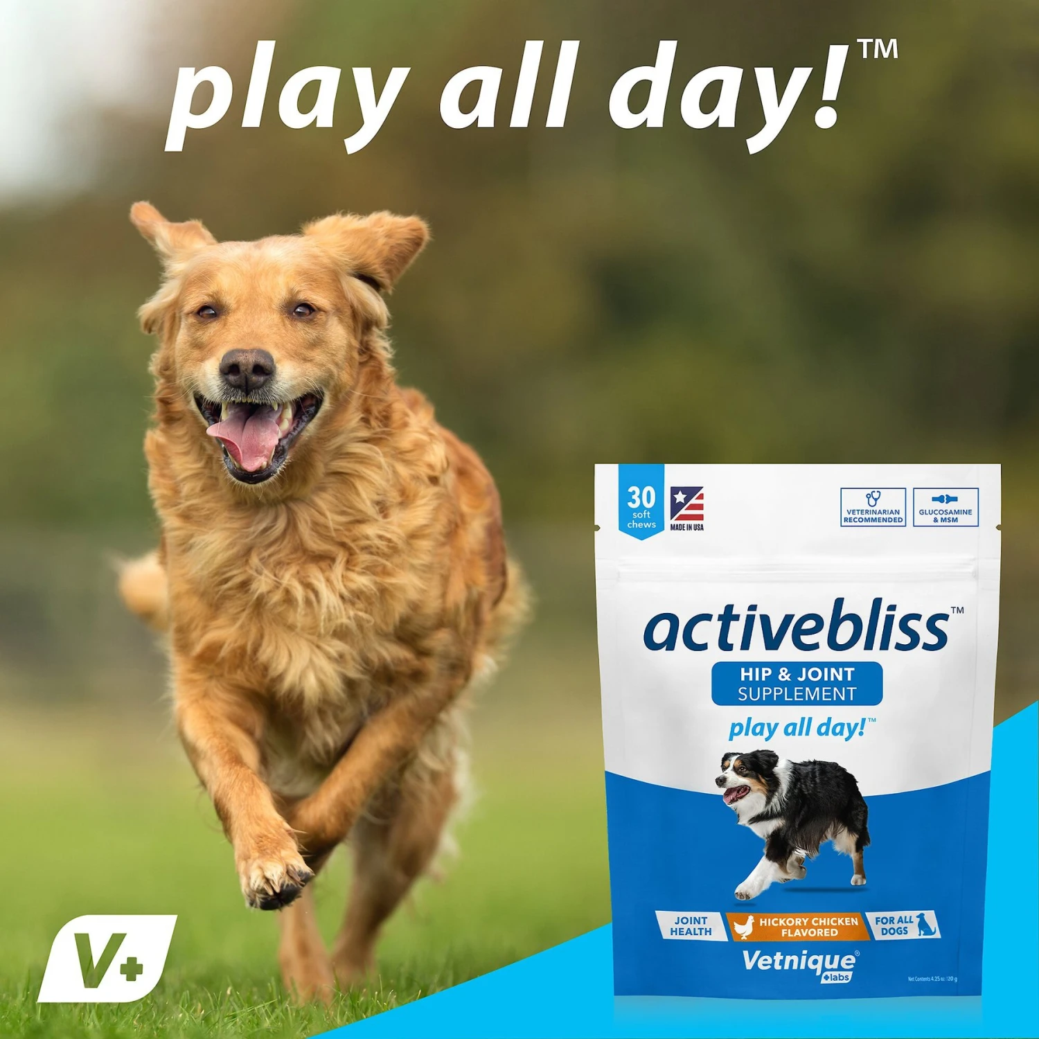 Vetnique Labs Activebliss Hip & Joint Chicken Flavored Soft Chews Joint Supplement For Dogs 7 Vetnique Labs Activebliss Hip & Joint Chicken Flavored Soft Chews Joint Supplement For Dogs - Image 7