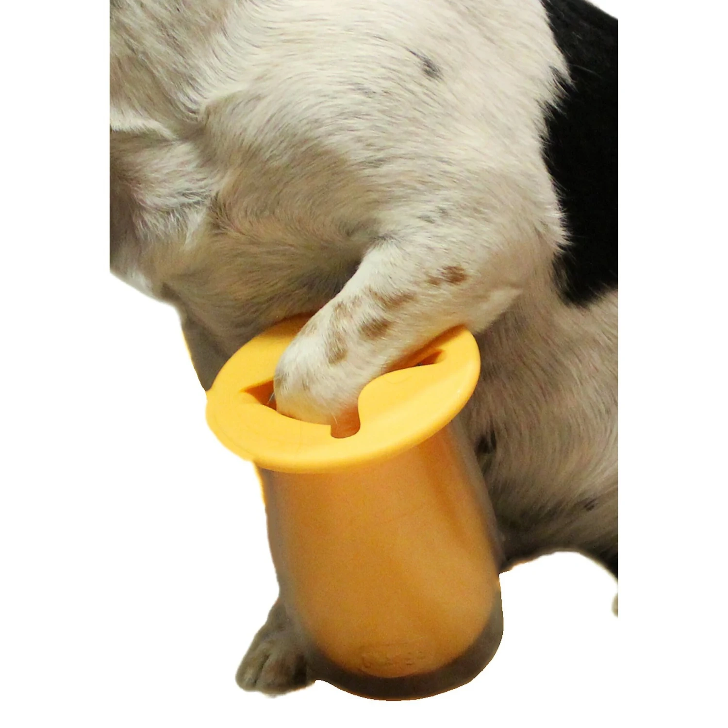 Penn-Plax Dog Paw Cleaner 2 Penn-Plax Dog Paw Cleaner - Image 2