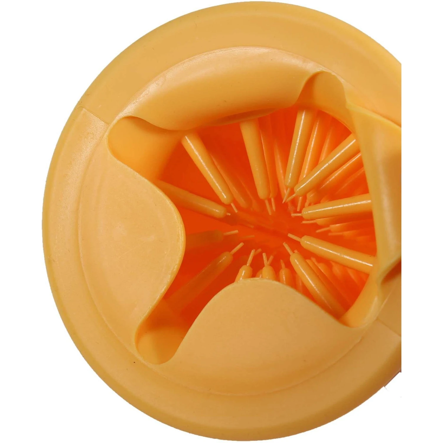 Penn-Plax Dog Paw Cleaner 4 Penn-Plax Dog Paw Cleaner - Image 4