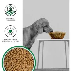 BIXBI Liberty Puppy Original Recipe Fresh Turkey, Chicken & Fish Dry Dog Food 10 BIXBI Liberty Puppy Original Recipe Fresh Turkey, Chicken & Fish Dry Dog Food -Pet Wellness 317472 PT2. AC SS1800 V1669065229