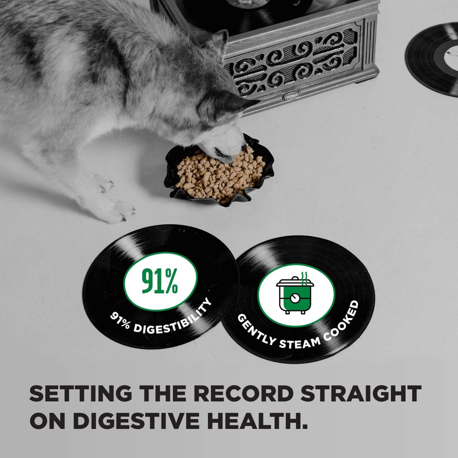 BIXBI Liberty Puppy Original Recipe Fresh Turkey, Chicken & Fish Dry Dog Food 4 BIXBI Liberty Puppy Original Recipe Fresh Turkey, Chicken & Fish Dry Dog Food - Image 4