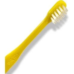 Pet Republique Enzymatic Toothpaste Kit With Handle Toothbrushes Beef Flavor For Dogs & Cats, 3.5-oz -Pet Wellness 317701 PT3. AC SS1800 V1635869185