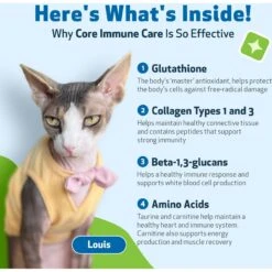 Pet Wellbeing Core Immune CARE Beef Flavored Powder Immune Supplement For Dogs & Cats, 3.7-oz Bottle -Pet Wellness 318055 PT2. AC SS1800 V1696888138