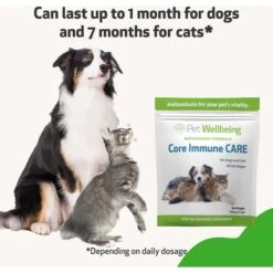 Pet Wellbeing Core Immune CARE Beef Flavored Powder Immune Supplement For Dogs & Cats, 3.7-oz Bottle -Pet Wellness 318055 PT6. AC SS1800 V1696886367