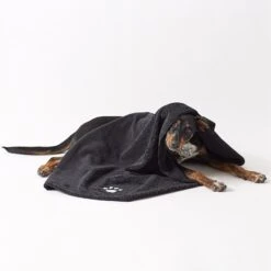 Bone Dry Embroidered Paw Dog & Cat Towel 9 Bone Dry Embroidered Paw Dog & Cat Towel -Pet Wellness 318071 PT4. AC SS1800 V1631773640