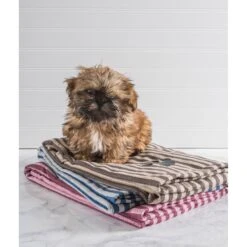 Bone Dry Striped Embroidered Paw Dog & Cat Towel -Pet Wellness 318082 PT5. AC SS1800 V1631760615