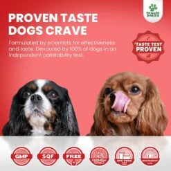 Doggie Dailies Bacon Flavored Cranberry Urinary Support Dog Supplement, 225 Count -Pet Wellness 320367 PT5. AC SS1800 V1632808288