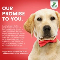 Doggie Dailies Chicken Flavored Cranberry Urinary Support Dog Supplement, 225 Count -Pet Wellness 320369 PT6. AC SS1800 V1632819372