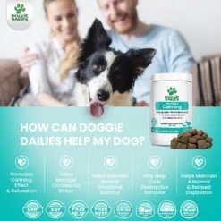 Doggie Dailies Turkey Flavored Calming Soft Chew Dog Supplement, 225 Count 11 Doggie Dailies Turkey Flavored Calming Soft Chew Dog Supplement, 225 Count -Pet Wellness 320371 PT3. AC SS1800 V1632820893