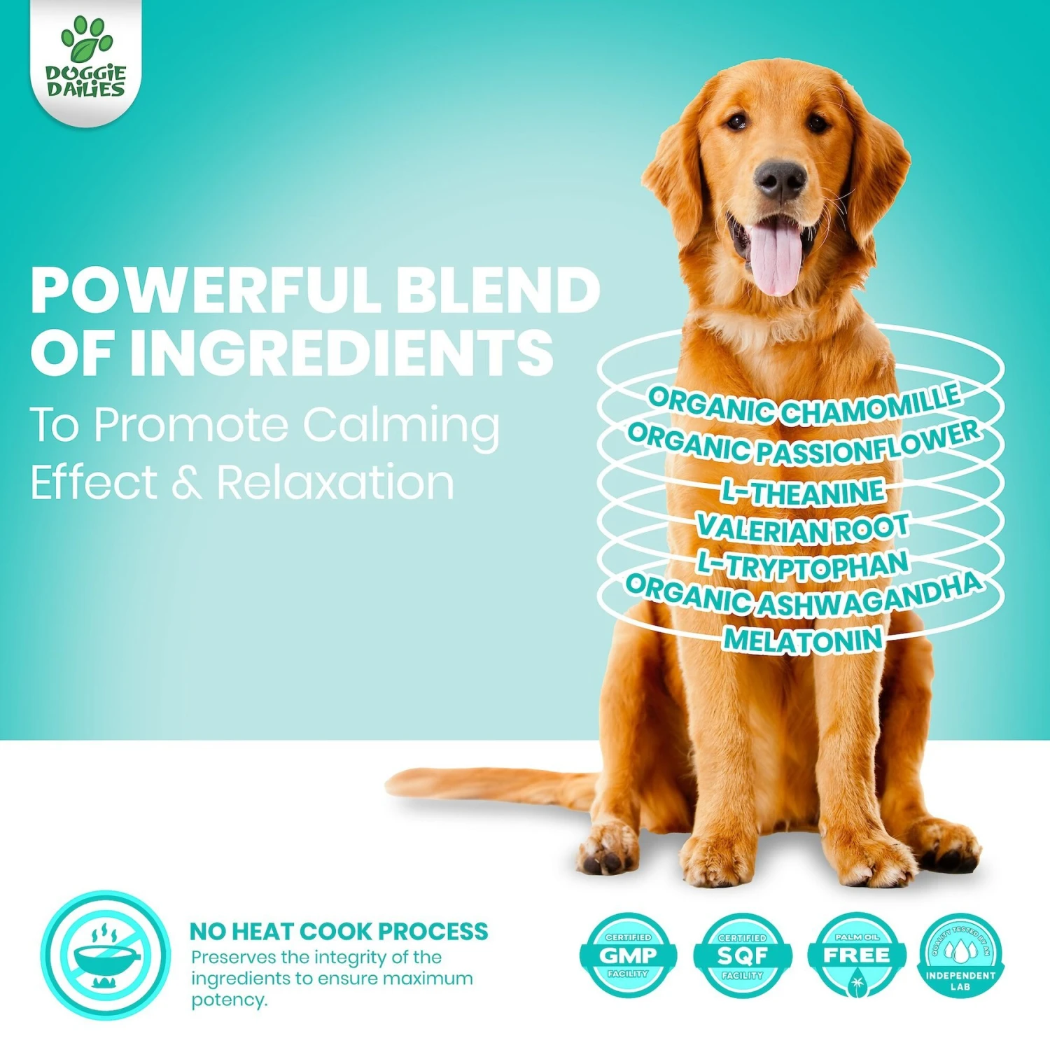 Doggie Dailies Turkey Flavored Calming Soft Chew Dog Supplement, 225 Count 5 Doggie Dailies Turkey Flavored Calming Soft Chew Dog Supplement, 225 Count - Image 5