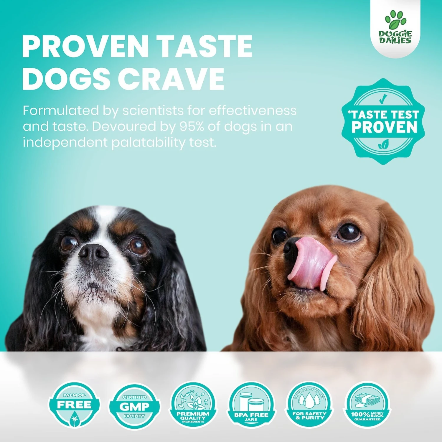 Doggie Dailies Turkey Flavored Calming Soft Chew Dog Supplement, 225 Count 6 Doggie Dailies Turkey Flavored Calming Soft Chew Dog Supplement, 225 Count - Image 6