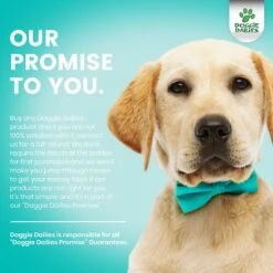 Doggie Dailies Turkey Flavored Calming Soft Chew Dog Supplement, 225 Count 14 Doggie Dailies Turkey Flavored Calming Soft Chew Dog Supplement, 225 Count -Pet Wellness 320371 PT6. AC SS1800 V1632806181