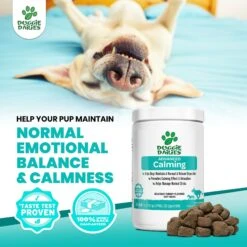 Doggie Dailies Peanut Butter Flavored Calming Soft Chew Dog Supplement -Pet Wellness 320373 PT7. AC SS1800 V1632807109