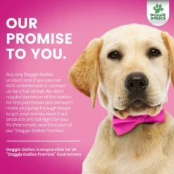 Doggie Dailies Duck Flavored Skin & Coat Dog Supplement 14 Doggie Dailies Duck Flavored Skin & Coat Dog Supplement -Pet Wellness 320375 PT6. AC SS1800 V1632817920