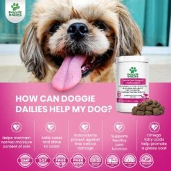 Doggie Dailies Salmon Flavored Skin & Coat Dog Supplements -Pet Wellness 320377 PT2. AC SS1800 V1632809471