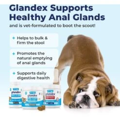 Vetnique Labs Glandex Anal Gland & Probiotic Salmon Flavored Pumpkin Fiber & Digestive Vegan Powder Supplement For Dogs & Cats 12 Vetnique Labs Glandex Anal Gland & Probiotic Salmon Flavored Pumpkin Fiber & Digestive Vegan Powder Supplement For Dogs & Cats -Pet Wellness 321506 PT3. AC SS1800 V1689974874