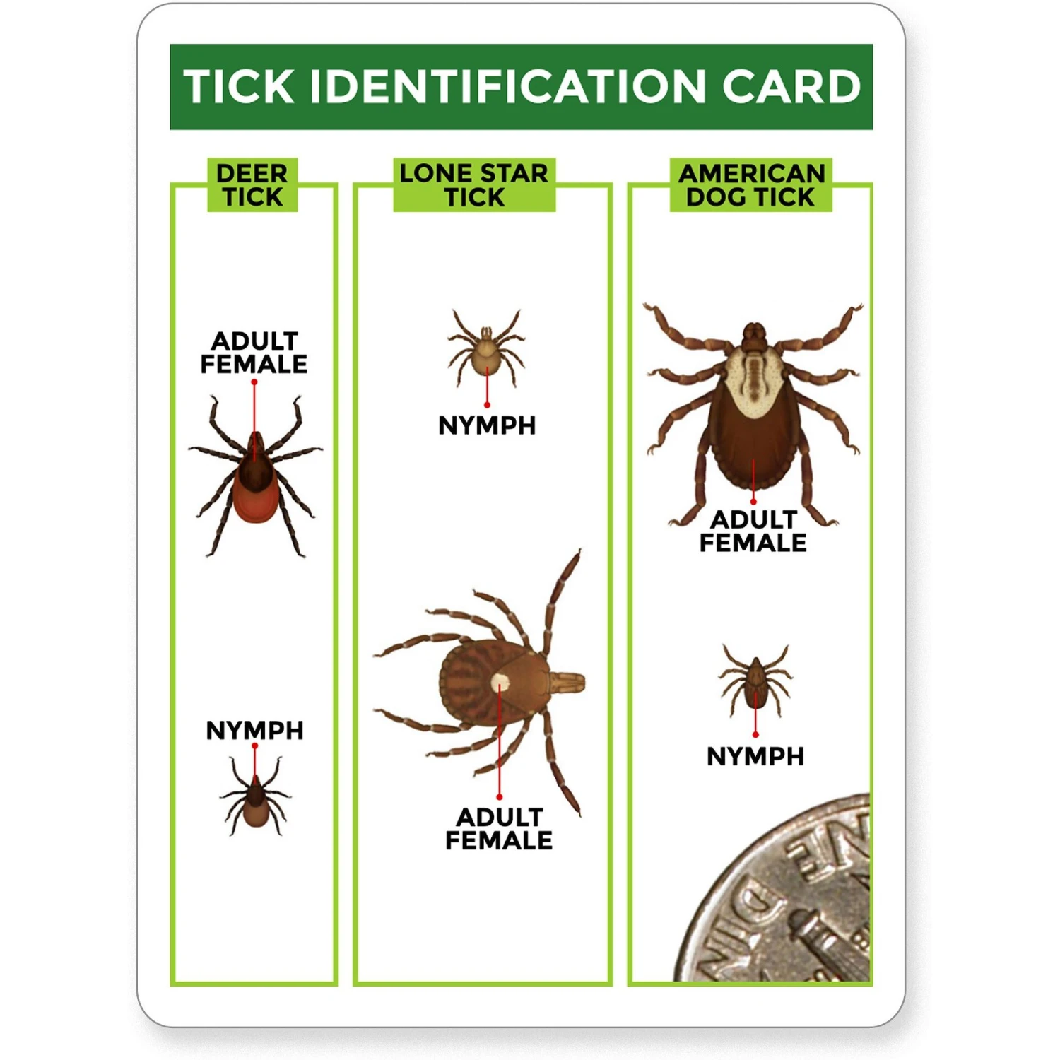 TickCheck Tick Remover Value, 3-pack 4 TickCheck Tick Remover Value, 3-pack - Image 4