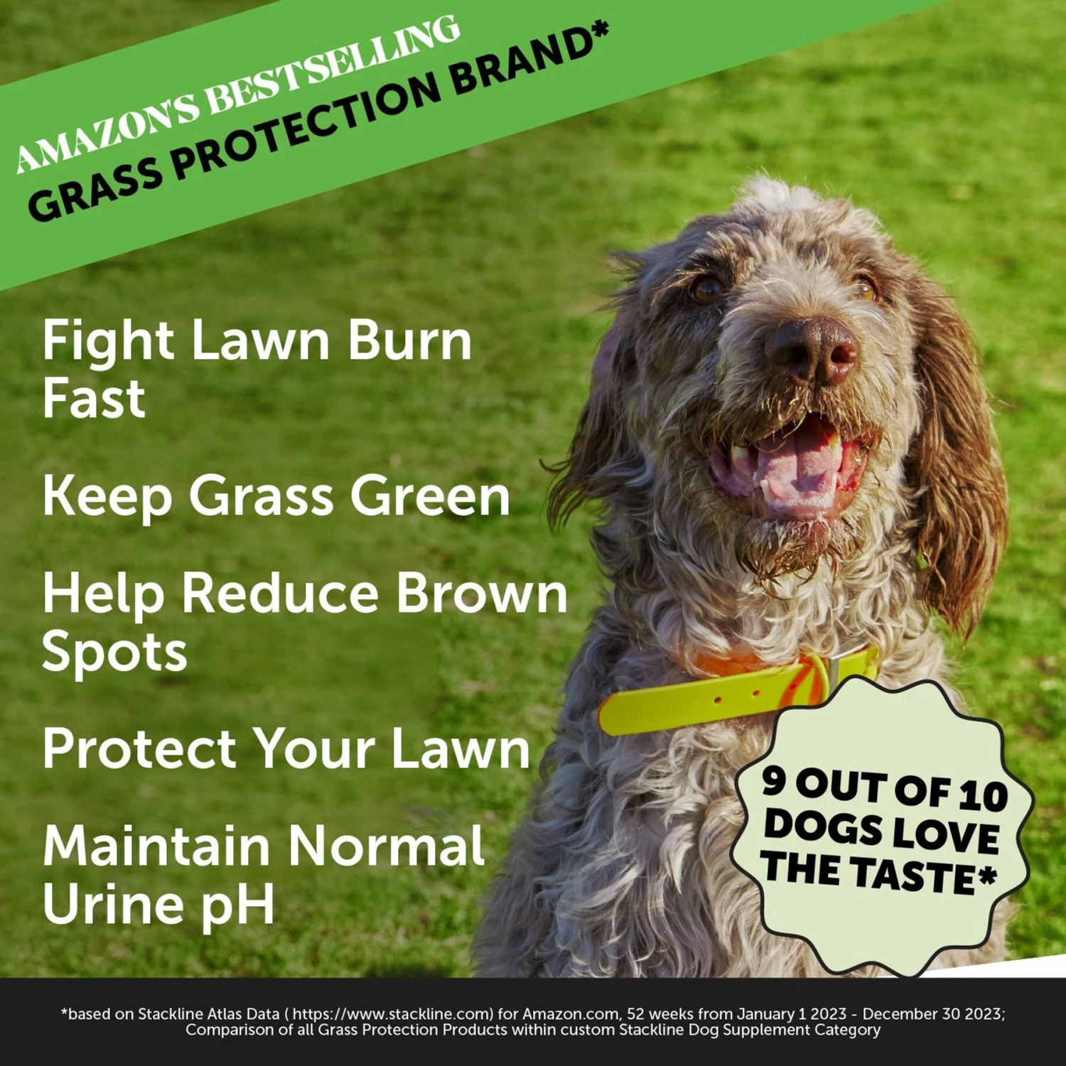 PetHonesty Grass Green Max-Strength Duck Flavored Soft Chews Urinary & Lawn Protection Dog Supplement, 90 Count 2 PetHonesty Grass Green Max-Strength Duck Flavored Soft Chews Urinary & Lawn Protection Dog Supplement, 90 Count - Image 2