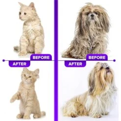 Ruff 'N Ruffus Upgraded Self-Cleaning Pet Slicker Brush & Nail Clippers, Purple -Pet Wellness 328855 PT6. AC SS1800 V1678997167