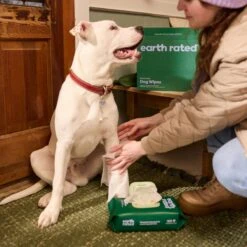 Earth Rated Dog Wipes, Thick Plant Based Grooming Wipes 10 Earth Rated Dog Wipes, Thick Plant Based Grooming Wipes -Pet Wellness 328858 PT4. AC SS1800 V1686238427