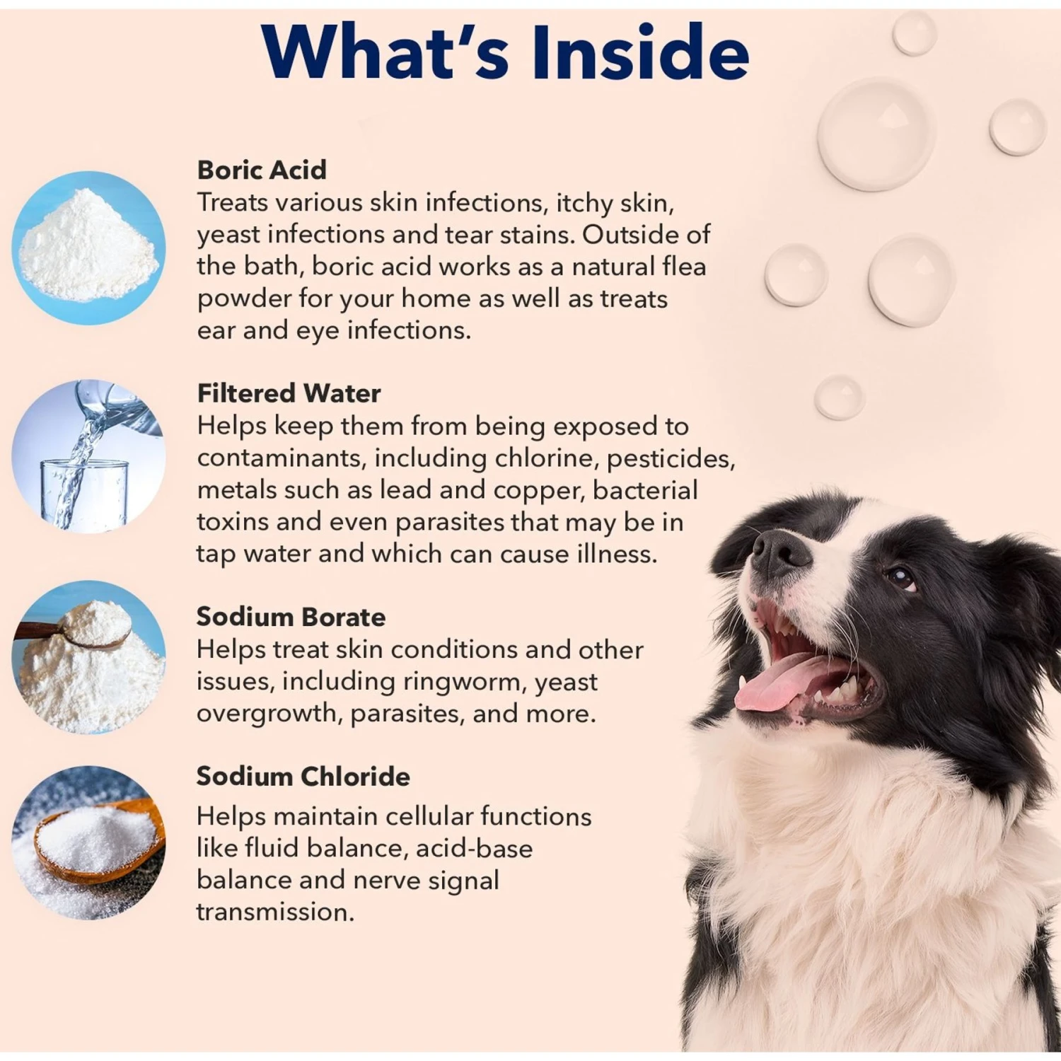 Vets Preferred Advanced Eye Wash For Dogs, 4-oz Bottle 4 Vets Preferred Advanced Eye Wash For Dogs, 4-oz Bottle - Image 4