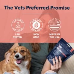 Vets Preferred Pre/Probiotic Chicken Flavored Powder Digestive Supplement For Dogs, 30 Count 15 Vets Preferred Pre/Probiotic Chicken Flavored Powder Digestive Supplement For Dogs, 30 Count -Pet Wellness 331257 PT6. AC SS1800 V1668617388