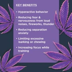 Nulo Calming Soft Chew Dog Supplement, 90 Count 12 Nulo Calming Soft Chew Dog Supplement, 90 Count -Pet Wellness 331262 PT3. AC SS1800 V1638467197