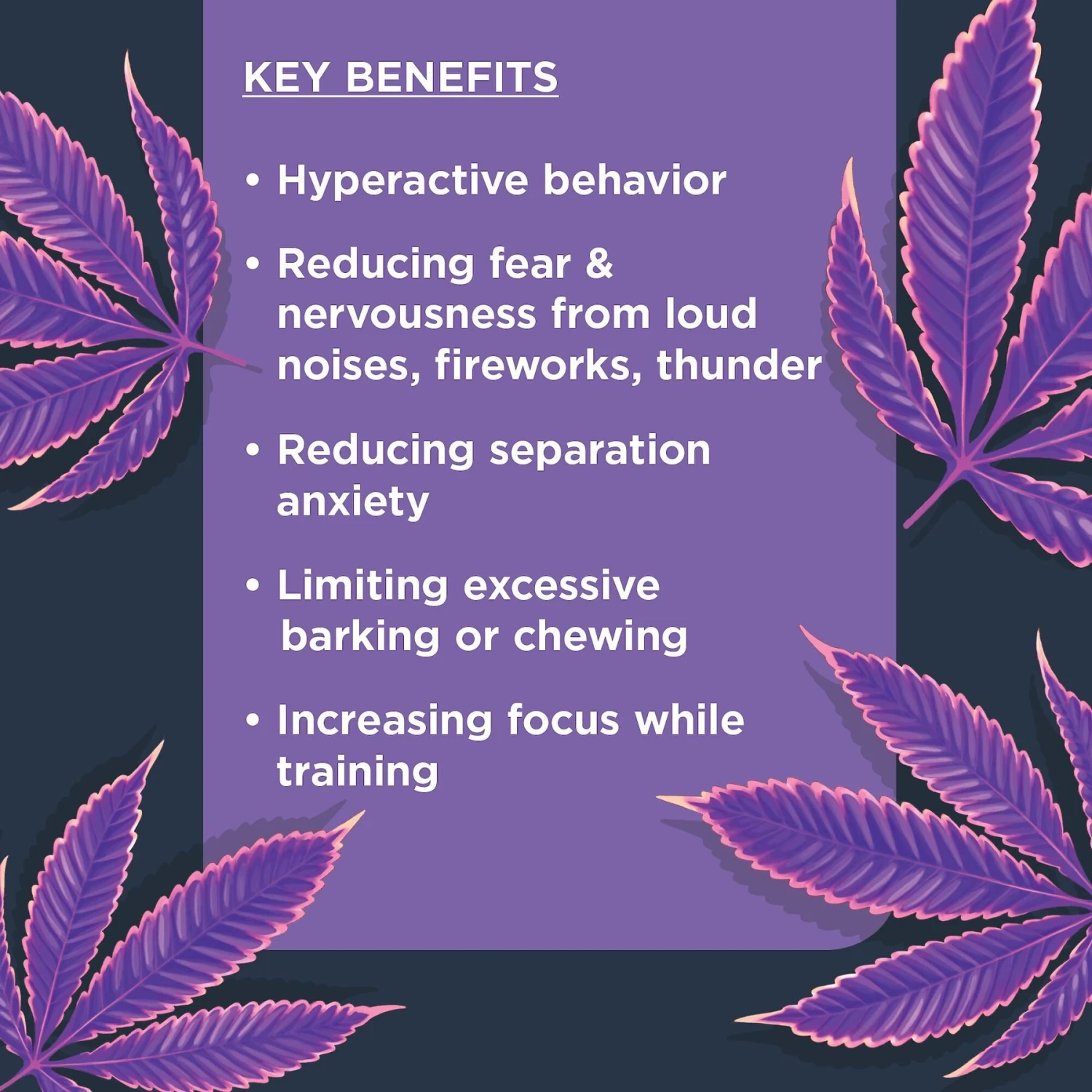 Nulo Calming Soft Chew Dog Supplement, 90 Count 4 Nulo Calming Soft Chew Dog Supplement, 90 Count - Image 4