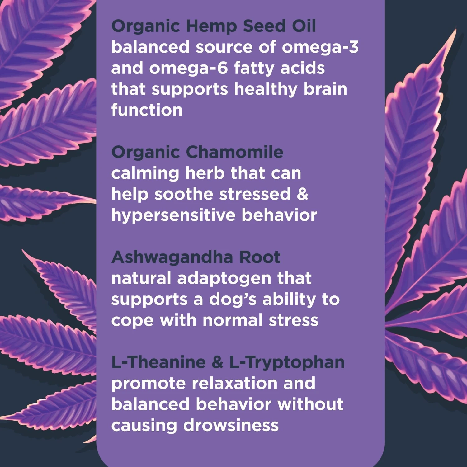 Nulo Calming Soft Chew Dog Supplement, 90 Count 6 Nulo Calming Soft Chew Dog Supplement, 90 Count - Image 6