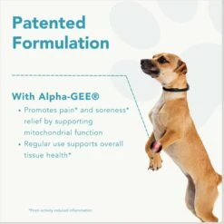 CanineActiv Mobility Medium Dog Supplement -Pet Wellness 331613 PT4. AC SS1800 V1697219840