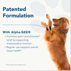 CanineActiv Mobility Large Dog Supplement -Pet Wellness 331614 PT4. AC SS1800 V1697219545