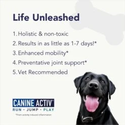 CanineActiv High Performance Strength & Endurance Dog Supplement -Pet Wellness 331615 PT3. AC SS1800 V1697219545