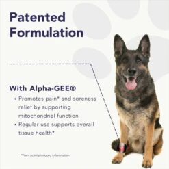 CanineActiv High Performance Strength & Endurance Dog Supplement -Pet Wellness 331615 PT4. AC SS1800 V1697219544