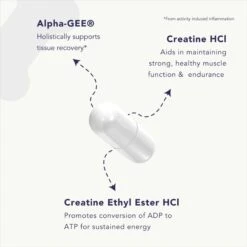 CanineActiv High Performance Strength & Endurance Dog Supplement -Pet Wellness 331615 PT5. AC SS1800 V1697219551