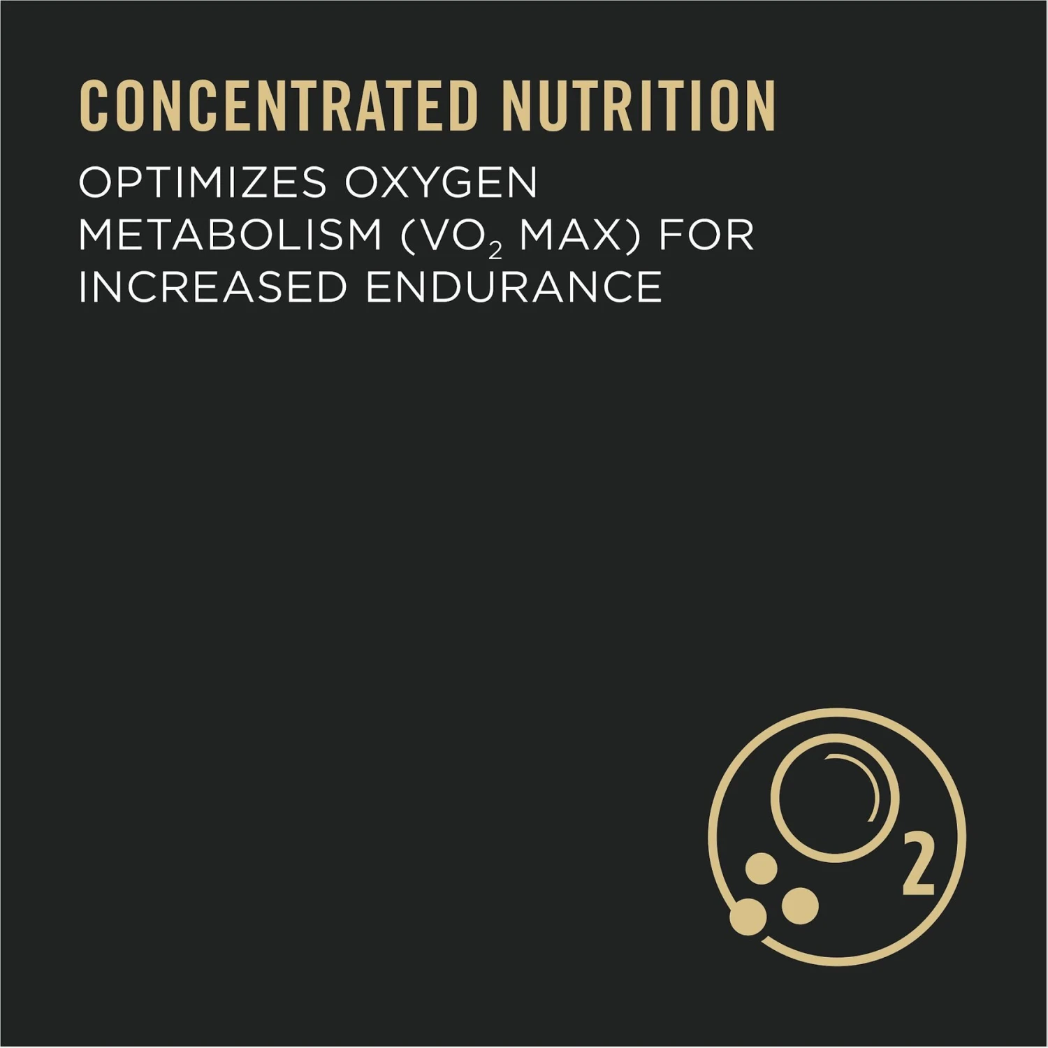 Purina Pro Plan Sport Performance All Life Stages High-Protein 30/20 Salmon & Cod Formula Dry Dog Food 5 Purina Pro Plan Sport Performance All Life Stages High-Protein 30/20 Salmon & Cod Formula Dry Dog Food - Image 5