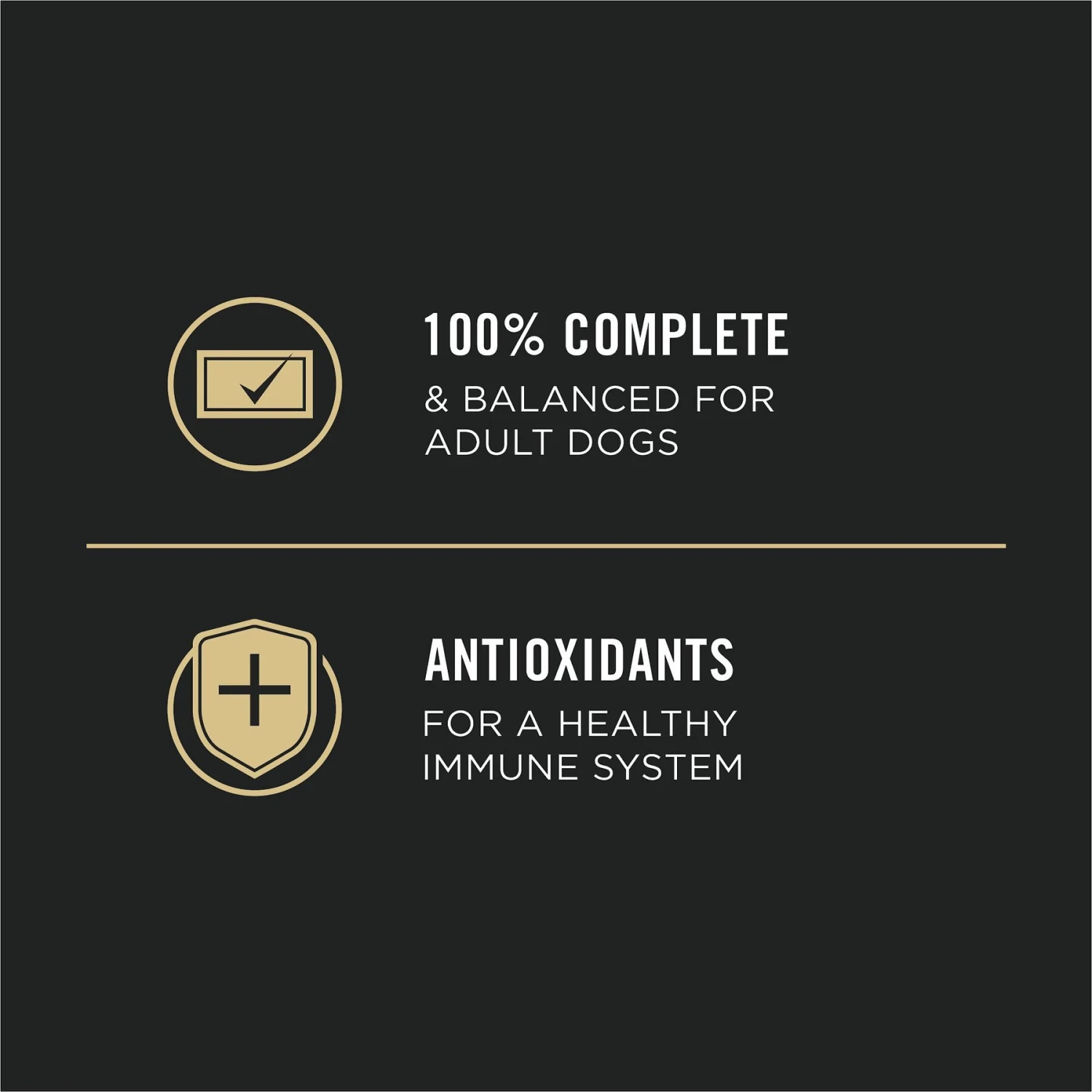 Purina Pro Plan Sport High Protein Beef & Bison Entrée Wet Dog Food 6 Purina Pro Plan Sport High Protein Beef & Bison Entrée Wet Dog Food - Image 6