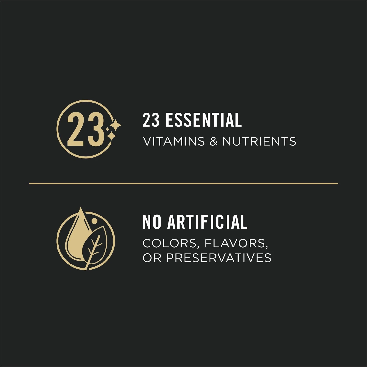 Purina Pro Plan Sport High Protein Beef & Bison Entrée Wet Dog Food 7 Purina Pro Plan Sport High Protein Beef & Bison Entrée Wet Dog Food - Image 7
