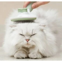 Michu Cream Dog, Cat & Small Pet Brush -Pet Wellness 332495 PT6. AC SS1800 V1686340118