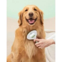 Michu Cream Dog, Cat & Small Pet Brush -Pet Wellness 332495 PT7. AC SS1800 V1686318408