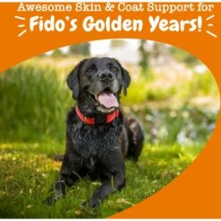 Zesty Paws Advanced Omega Bites Chicken Flavor Soft Chews Skin & Coat Supplement For Senior Dogs 12 Zesty Paws Advanced Omega Bites Chicken Flavor Soft Chews Skin & Coat Supplement For Senior Dogs -Pet Wellness 332501 PT3. AC SS1800 V1698787418