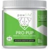 Pawlife Pumpkin Flavor Pro Pup Probiotics, Prebiotics & Enzymes Soft Chews Dog Supplement