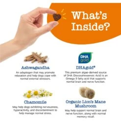 Zesty Paws Senior Advanced Calming + Cognition Bites Chicken Flavor Soft Chews Composure Supplement For Dogs -Pet Wellness 333707 PT2. AC SS1800 V1696955168