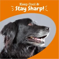 Zesty Paws Senior Advanced Calming + Cognition Bites Chicken Flavor Soft Chews Composure Supplement For Dogs -Pet Wellness 333707 PT3. AC SS1800 V1696961190