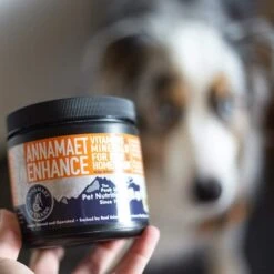 Annamaet Enhance Raw & Home Cook Meal Dog Vitamin & Mineral Supplement, 8.5-oz 9 Annamaet Enhance Raw & Home Cook Meal Dog Vitamin & Mineral Supplement, 8.5-oz -Pet Wellness 333843 PT4. AC SS1800 V1634329280