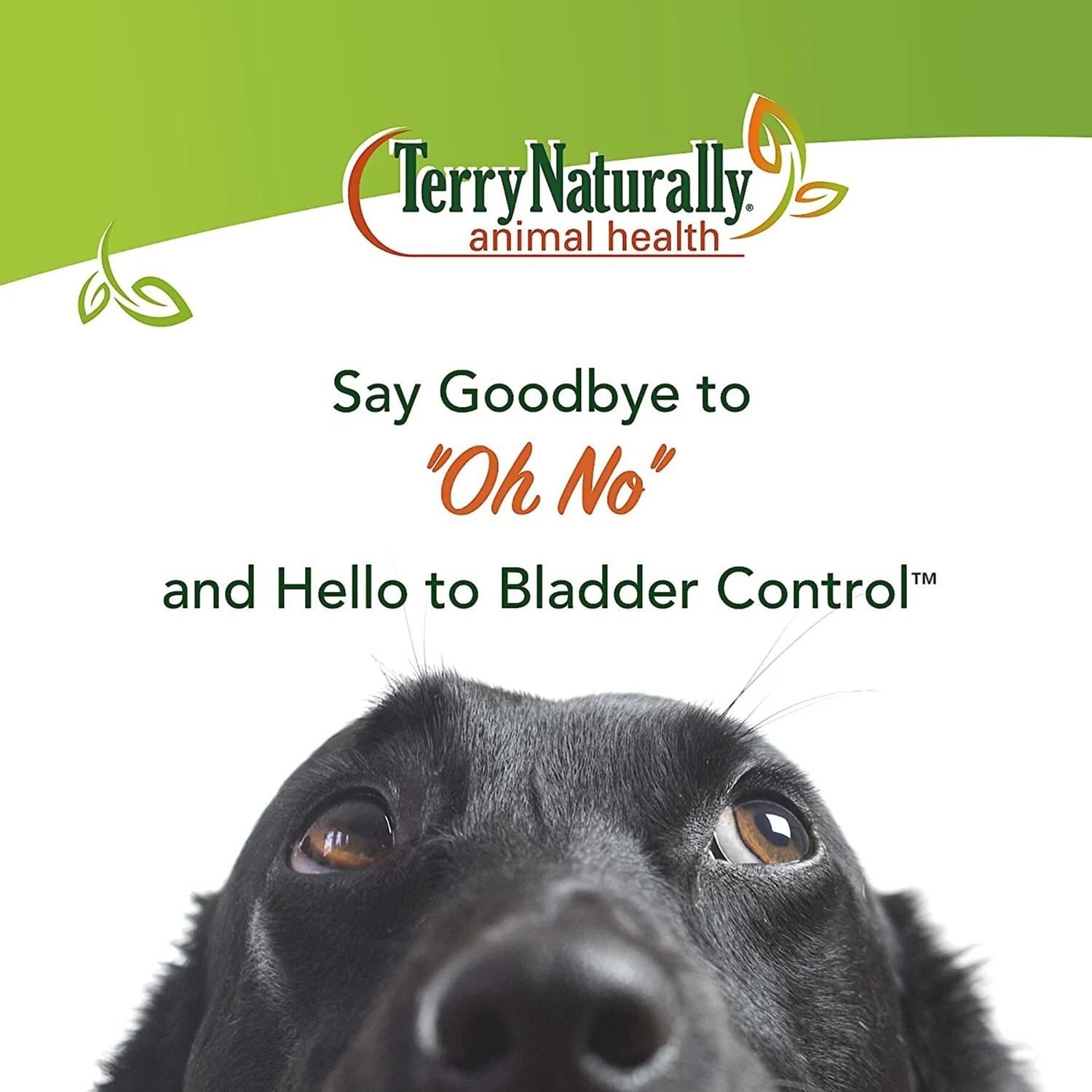 Terry Naturally Animal Health Bladder Control Dog Supplement 2 Terry Naturally Animal Health Bladder Control Dog Supplement - Image 2