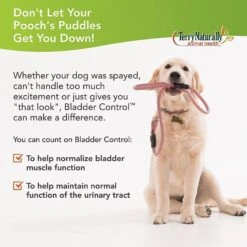 Terry Naturally Animal Health Bladder Control Dog Supplement 11 Terry Naturally Animal Health Bladder Control Dog Supplement -Pet Wellness 335339 PT2. AC SS1800 V1634236907