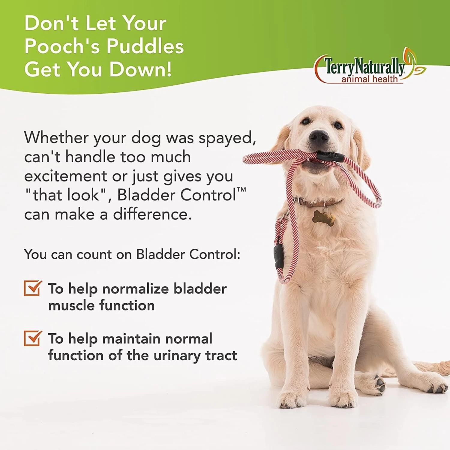 Terry Naturally Animal Health Bladder Control Dog Supplement 3 Terry Naturally Animal Health Bladder Control Dog Supplement - Image 3