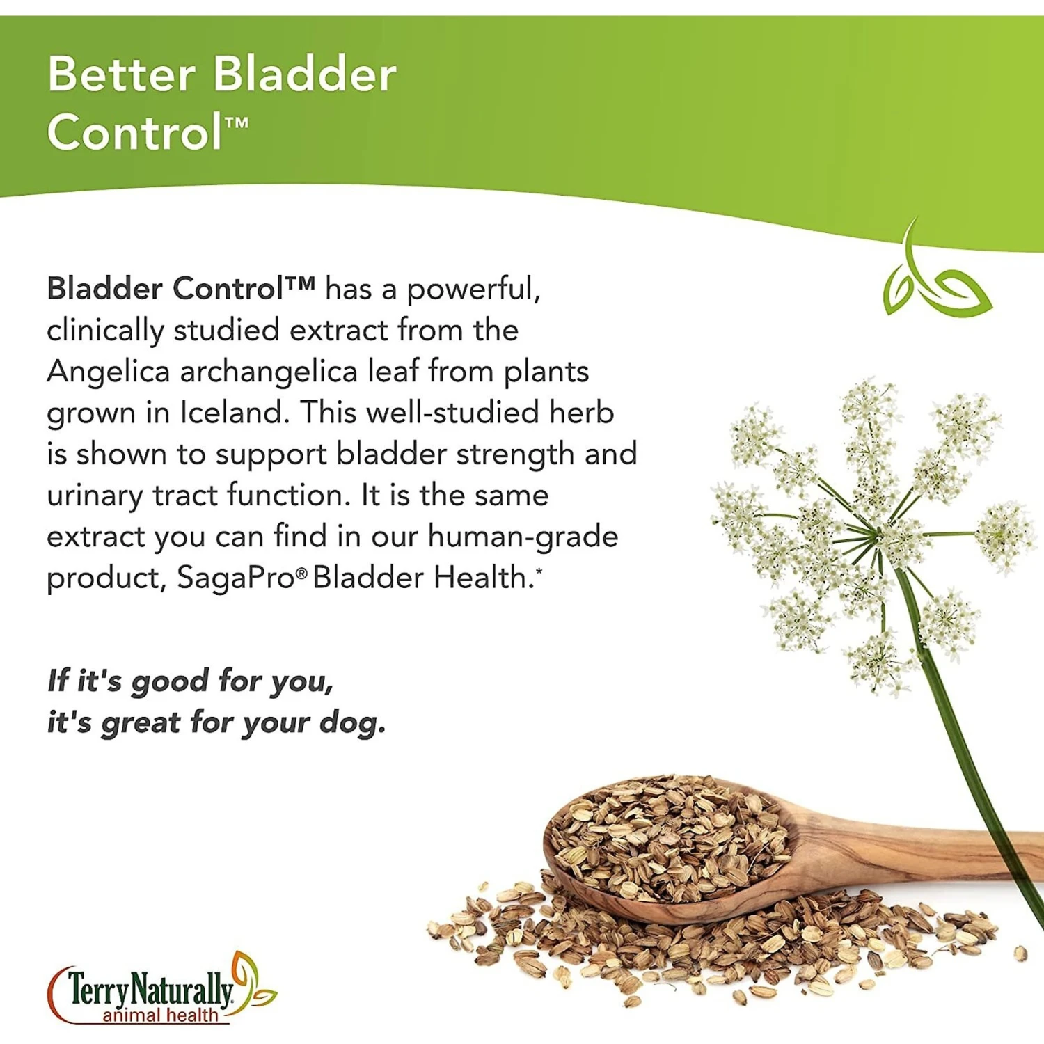 Terry Naturally Animal Health Bladder Control Dog Supplement 4 Terry Naturally Animal Health Bladder Control Dog Supplement - Image 4